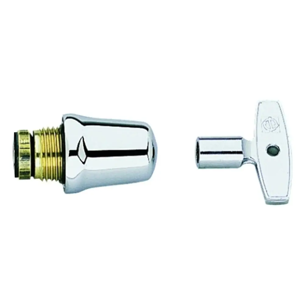 Grohe Produkt mit einem chromfarbenen Stecker und einem entsprechenden Schlüssel, geeignet für Installationen oder Reparaturen in Sanitäranlagen.