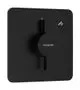 Hansgrohe_75614670