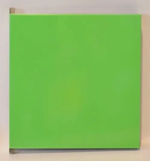 Grüne Plattenoberfläche, präsentiert in gleichmäßiger Farbe, geeignet für den Einsatz, möglicherweise als Teil eines Remko Produkts.