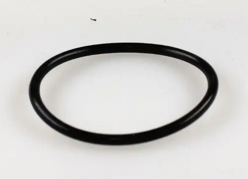 Schwarzer O-Ring auf hellem Hintergrund, dargestellt als einfaches, geschlossens Produkt. Geeignet für Anwendungen in Verbindung mit Remko-Geräten.