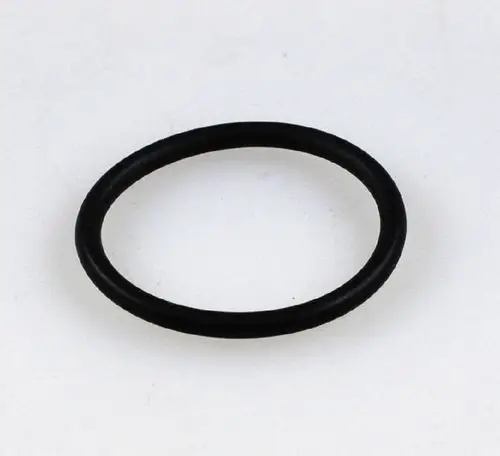 Schwarzer O-Ring auf hellem Untergrund, geeignet für Dichtungen. Produkt von Remko, Darstellung zeigt die ringförmige Form und Materialbeschaffenheit.