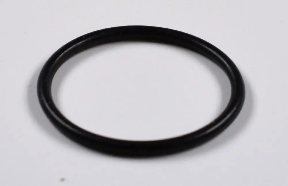 Schwarzer O-Ring auf weißem Hintergrund, geeignet für diverse Anwendungen. Er stammt von der Marke Remko.