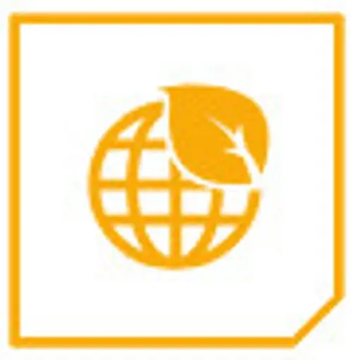 icon7