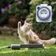 Katze spielt in einem Garten mit einem Sprinkler. Im Bild ist eine analoge Steckdosen-Zeitschaltuhr von Theben zu sehen, die spritzwassergeschützt ist.