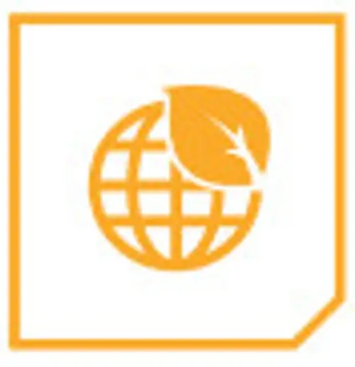 icon7