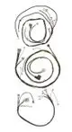 Broetje-Kabelbaum-SGB-125-300-i-7714229