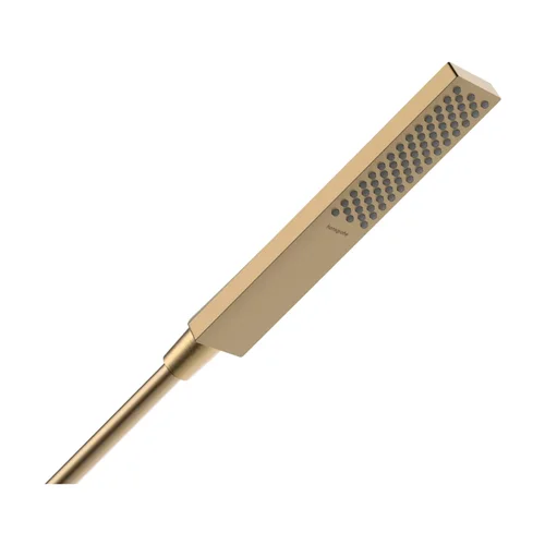 hansgrohe Pulsify E Stabhandbrause 100 1jet EcoSmart Brushed Bronze