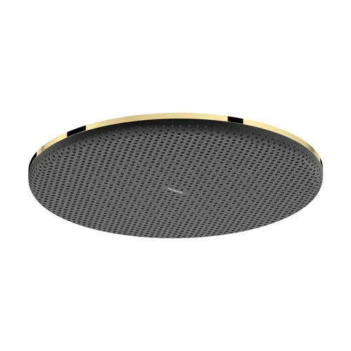 hansgrohe Raindance Alive S Kopfbrause 300 1jet Polished Gold Optic