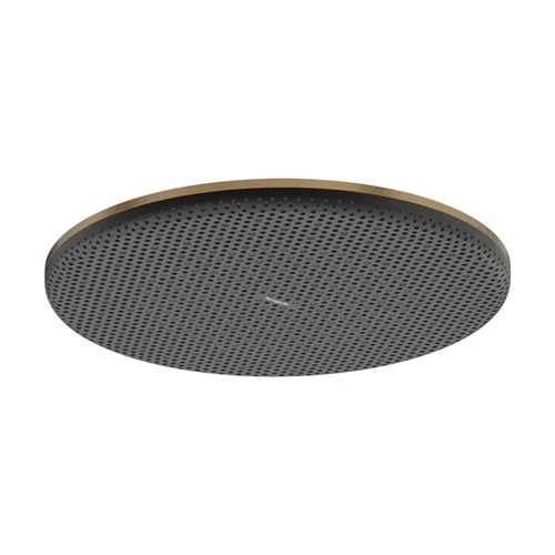 hansgrohe Raindance Alive S Kopfbrause 300 1jet Brushed Bronze