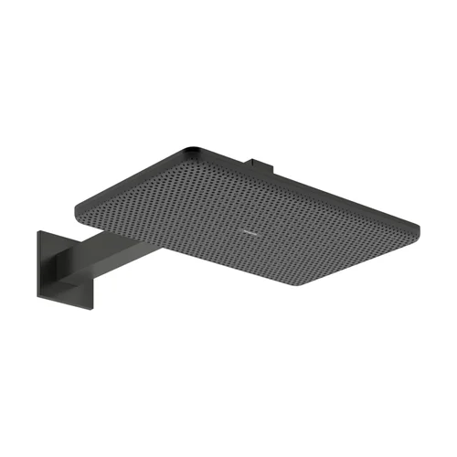 hansgrohe Kopfbrause Raindance Alive Q - 210/340 2jet EcoSmart m.Brausearm Brushed Black Chrome