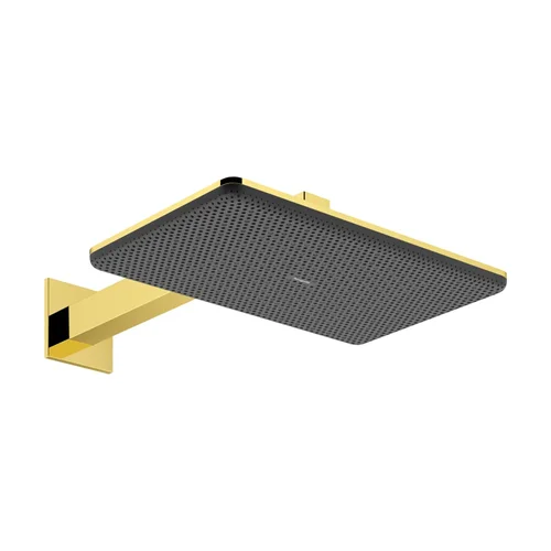 hansgrohe Raindance Alive Q Kopfbrause 210/340 2jet mit Brausearm Polished Gold Optic