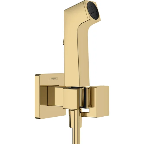 hansgrohe Handbrause Bidette E f.Warmwasser - m. Schlauch 1250mm und Porter PGO Polished Gold Optic