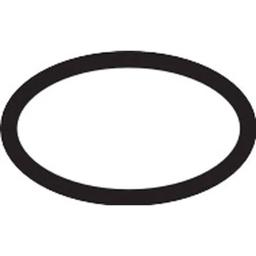 hansgrohe O-Ring 20 × 2 mm
