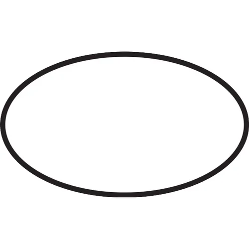 hansgrohe O-Ring 50 × 2,5 mm für Raindance Select S, Unica