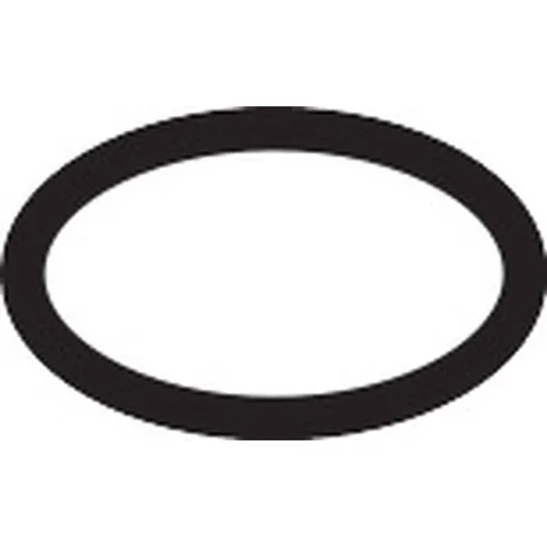 hansgrohe O-Ring 10 × 2 mm für Rainfinity, Pulsify, Aquno