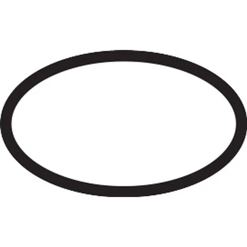 hansgrohe O-Ring 22x1,5 für Dichtungen 90325810