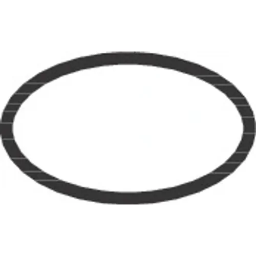 hansgrohe O-Ring 14 × 2,5 mm für Finoris, Focus M41, Talis M54