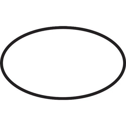 hansgrohe O-Ring 45 × 2,5 mm für Raindance Select S, Unica