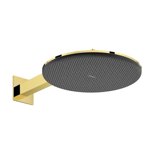 hansgrohe Raindance Alive S Kopfbrause 300 2jet mit Brausearm Polished Gold Optic