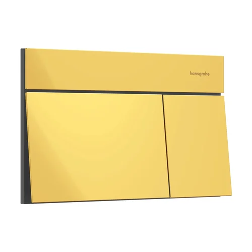 hansgrohe iFrame Element E Betätigungsplatte für 2-Mengen-Spülung Polished Gold Optic