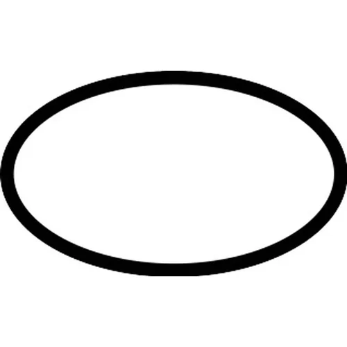 hansgrohe O-Ring 26 × 2 mm