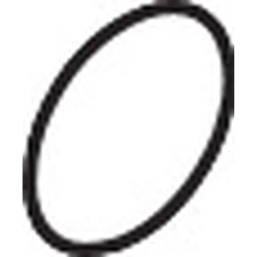 hansgrohe O-Ring 46 × 2 mm für Focus M42 Küchenmischer