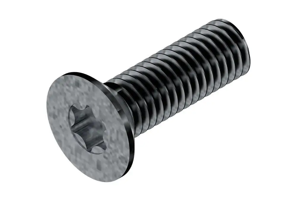 BOSCH Schrauben-Set M5x16 Torx (10x) | 8738216106