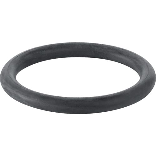 Geberit-O-Ring-zu-Ablaufstutzen-ab-Modell-77-892975001