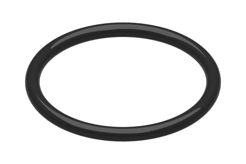 BOSCH O-Ring 30 x 2.65 mm (10x) | 8738216586