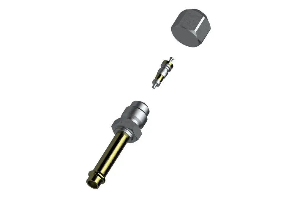 BOSCH Ventil Schrader 7/16" | 8738216137