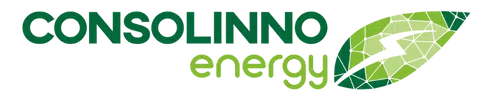 https://raleo.de:443/files/static_img/raleo/brands/сonsolinno.png
